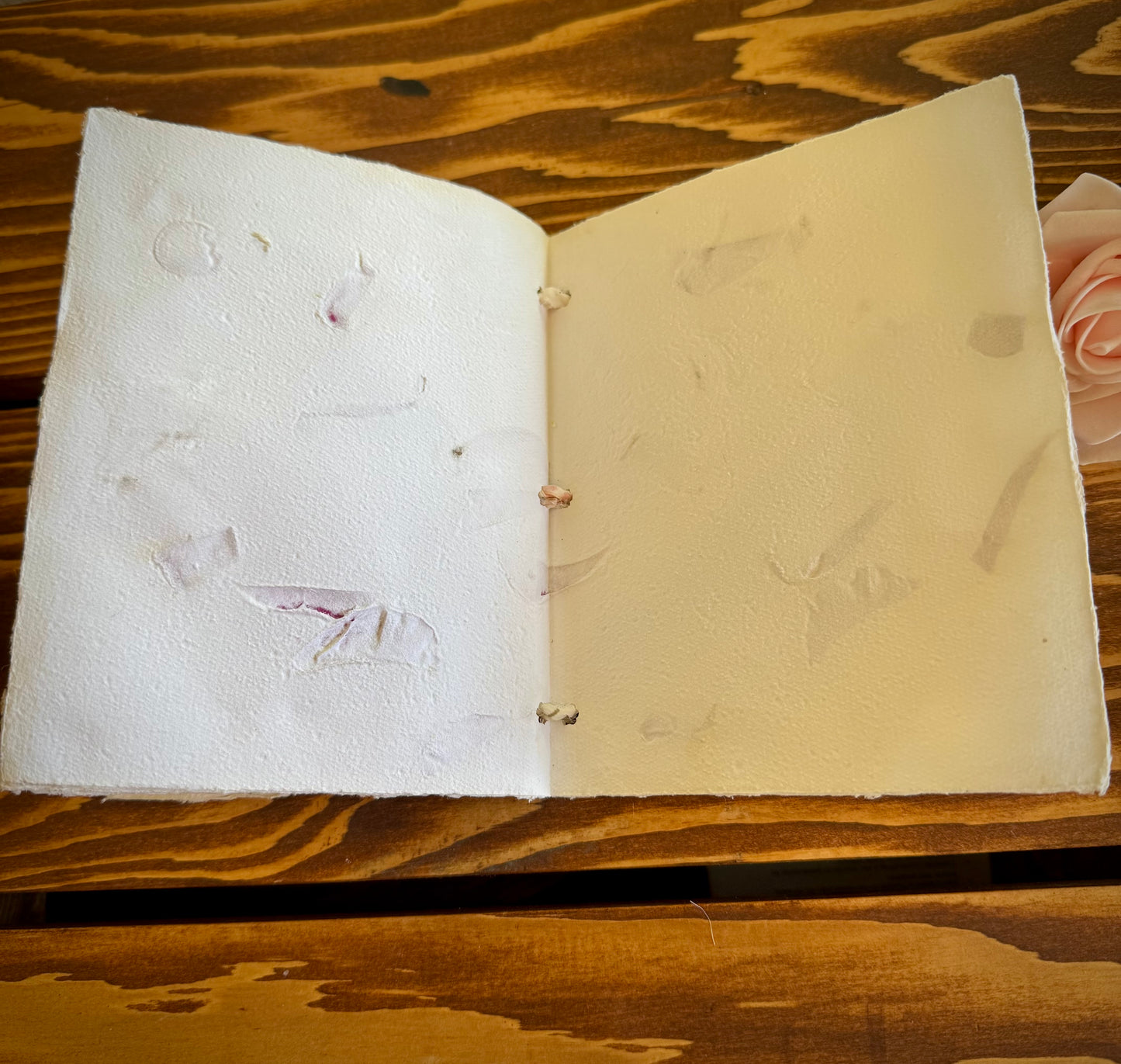 Handmade Mini Botanical Paper Journal - 5x6" with Recycled Silk Binding