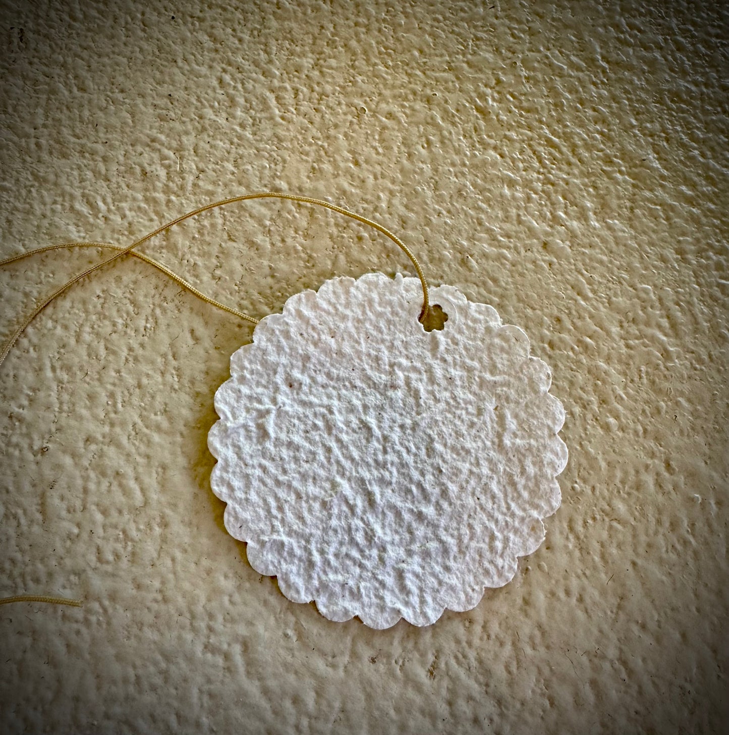 Botanical Paper Tags - Set of 6