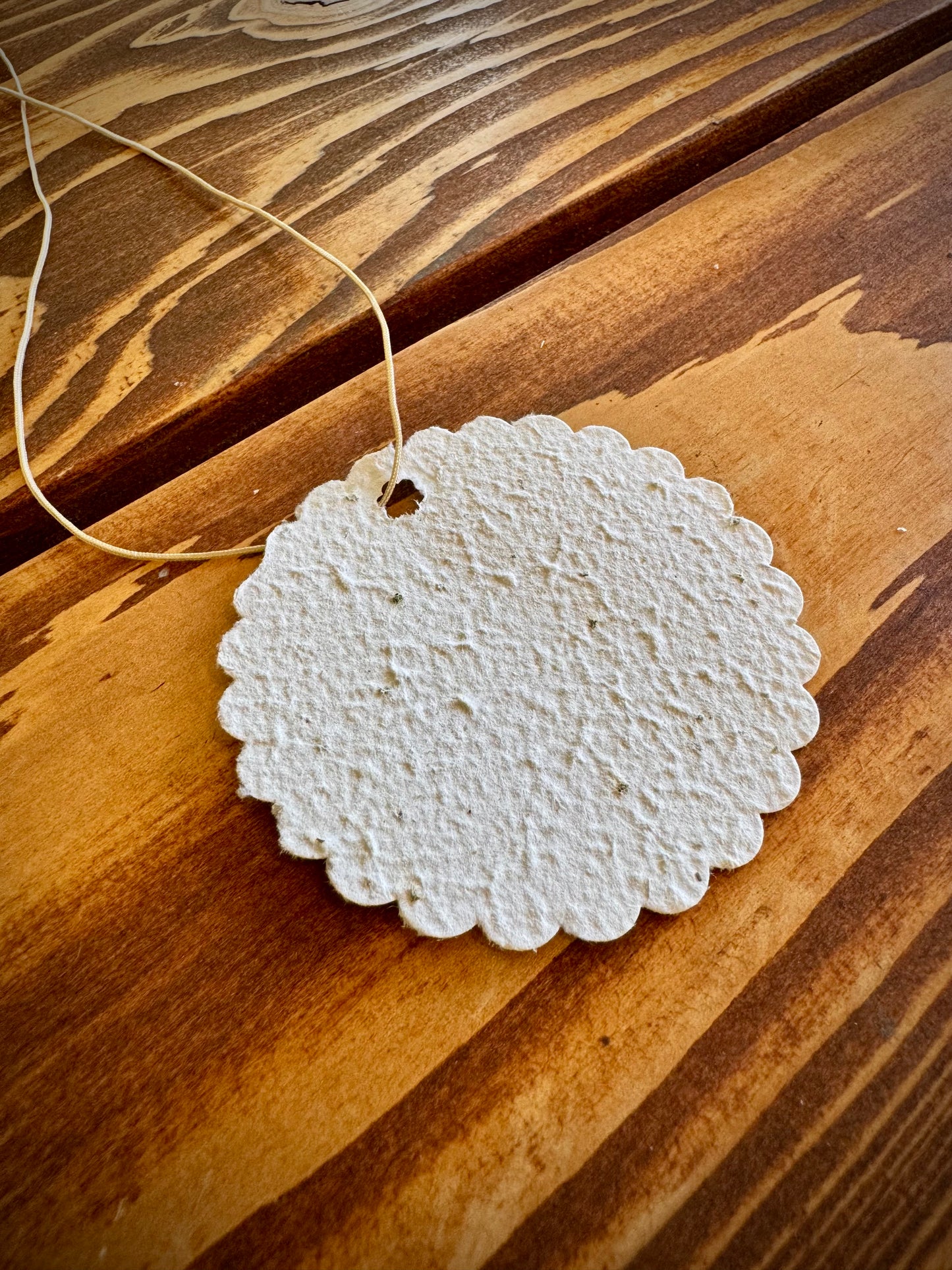 Botanical Paper Tags - Set of 6