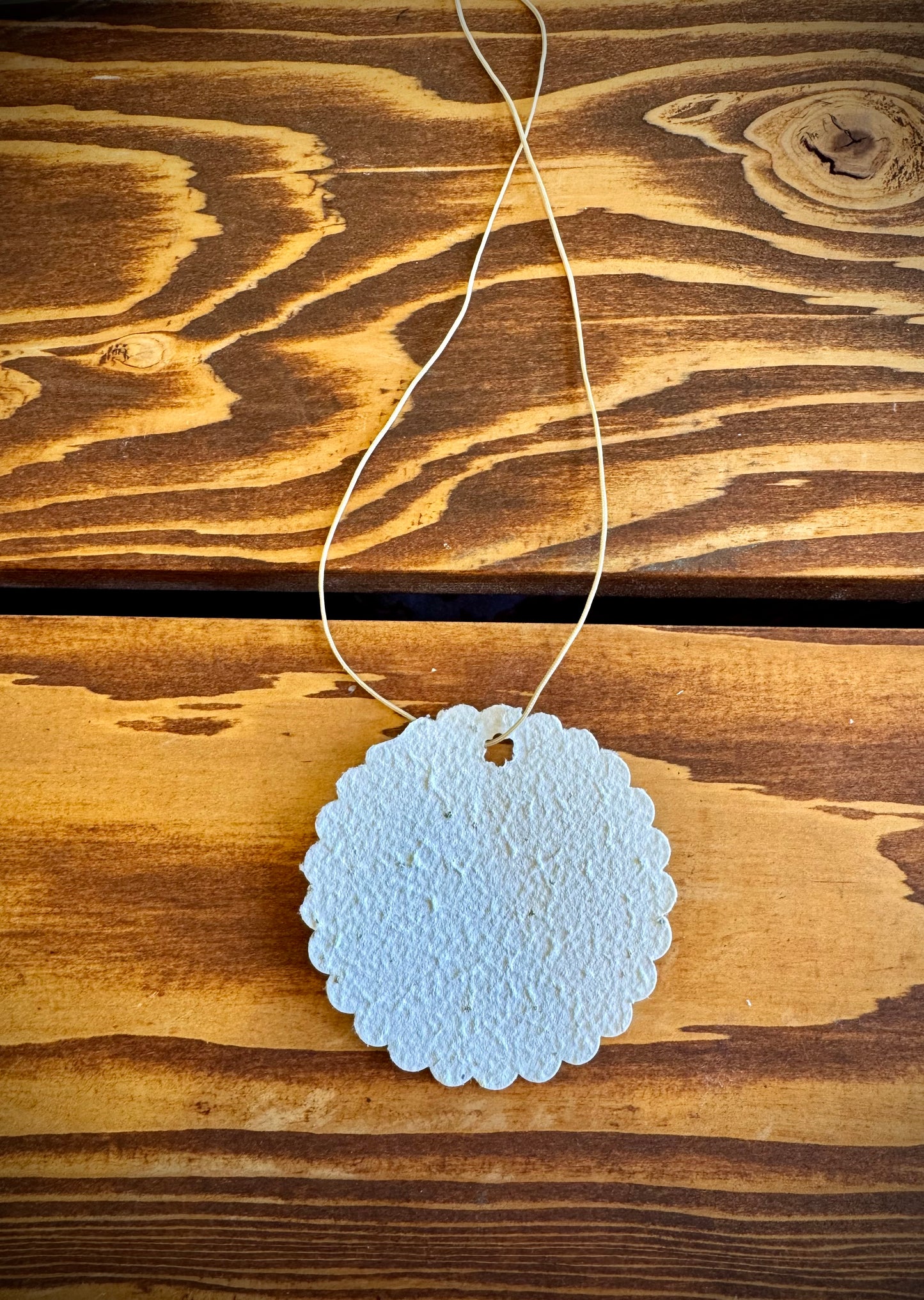 Botanical Paper Tags  - Set of 6