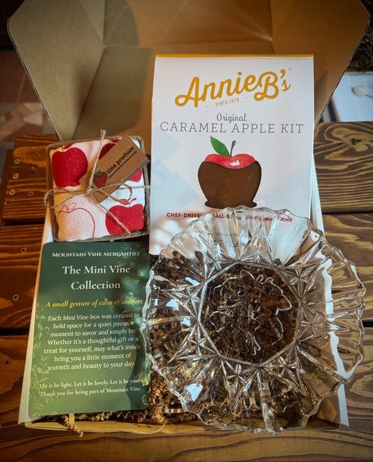 After the Dishes are Done Mini Vine Gift Box - Caramel Apple kit & Vintage Dish