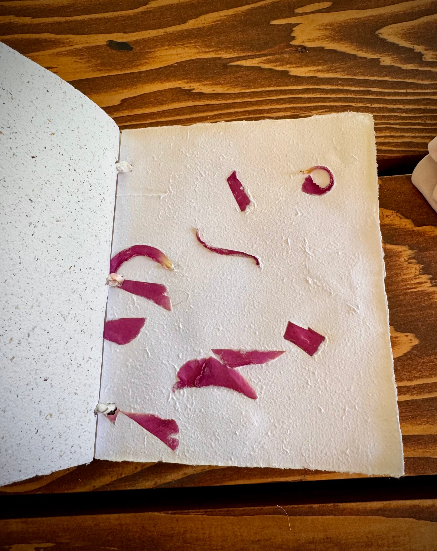 Handmade Mini Botanical Paper Journal - 5x6" with Recycled Silk Binding